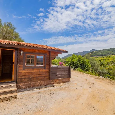 Cubo's Pure Nature High Privacy Coín